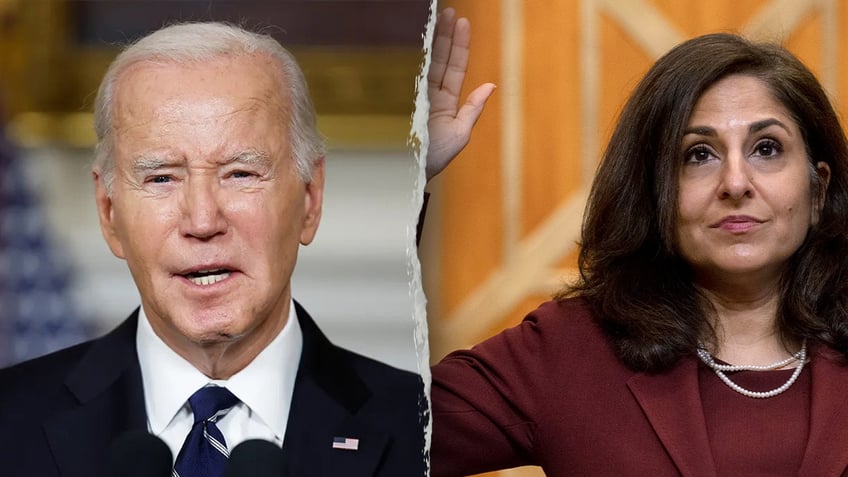 Biden, Tanden photo split