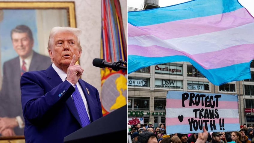 Donald Trump split with transgender pride flag