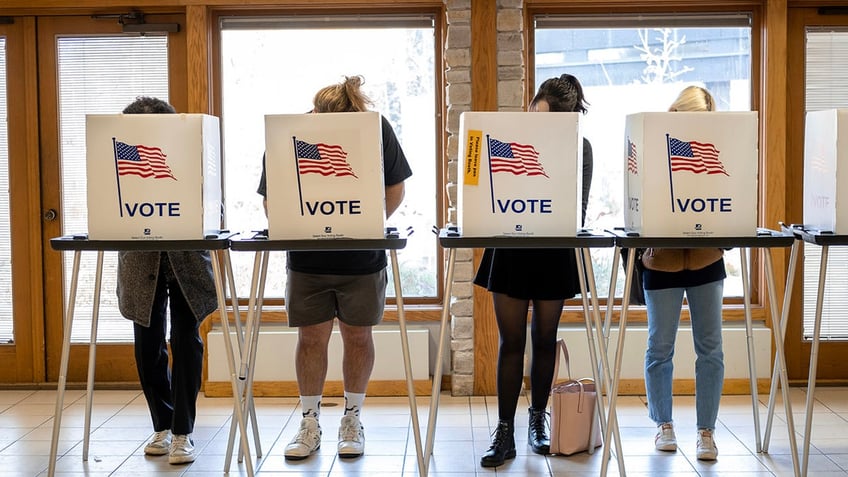 voters behind "vote" carrels with US flag graphic 