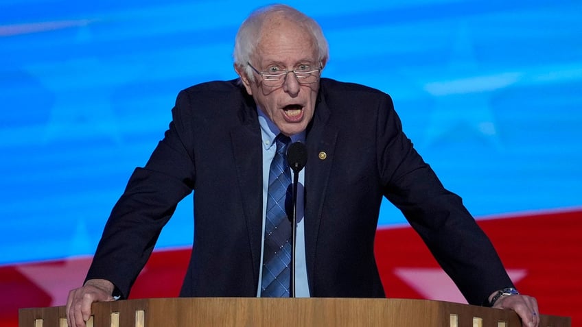 Bernie Sanders speaks during the Democratic National Convention