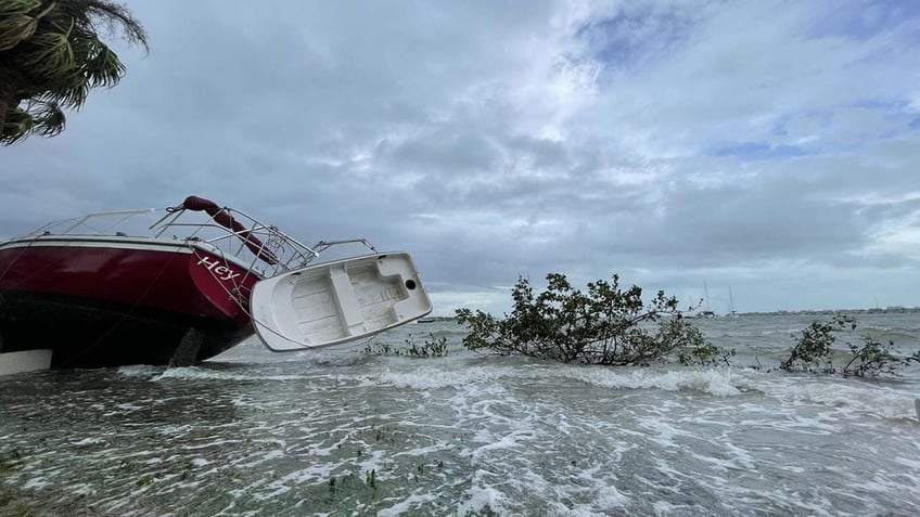 fox weather reporter caught in strong flood water dodges palm tree debris