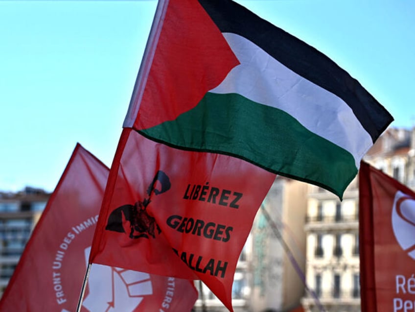 MARSEILLE, FRANCE - 2025/05/17: Protesters hold flags, including a Palestinian one, during