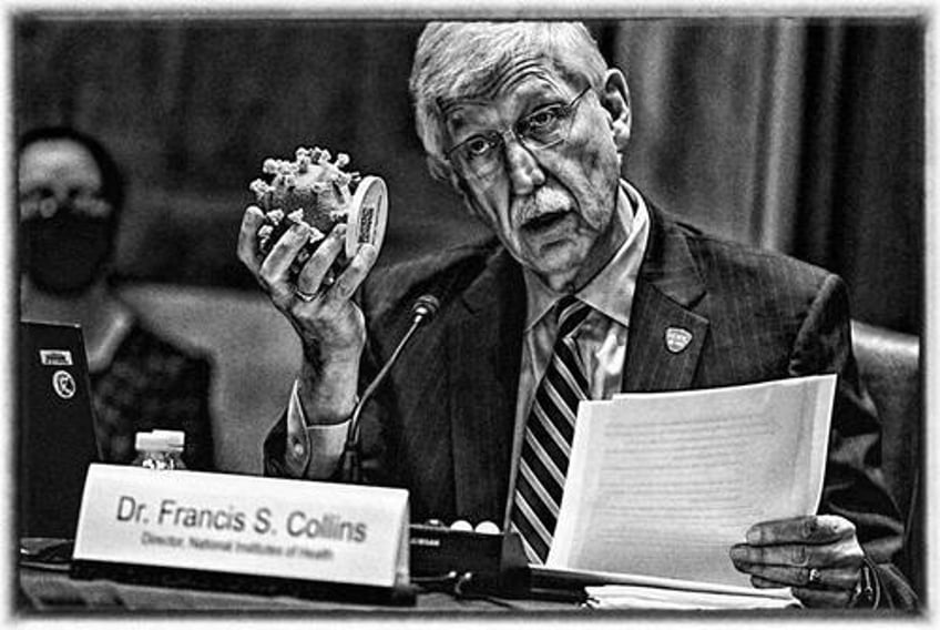 francis collins caught sending false and misleading information to congress