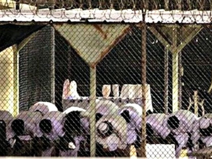 french prisons are radical islam terrorist universities