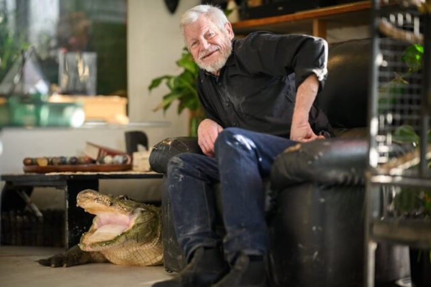 Reptile expert Philippe Gillet and his alligator Gator watch some television