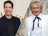 'Friends' star David Schwimmer served Rod Stewart with divorce papers