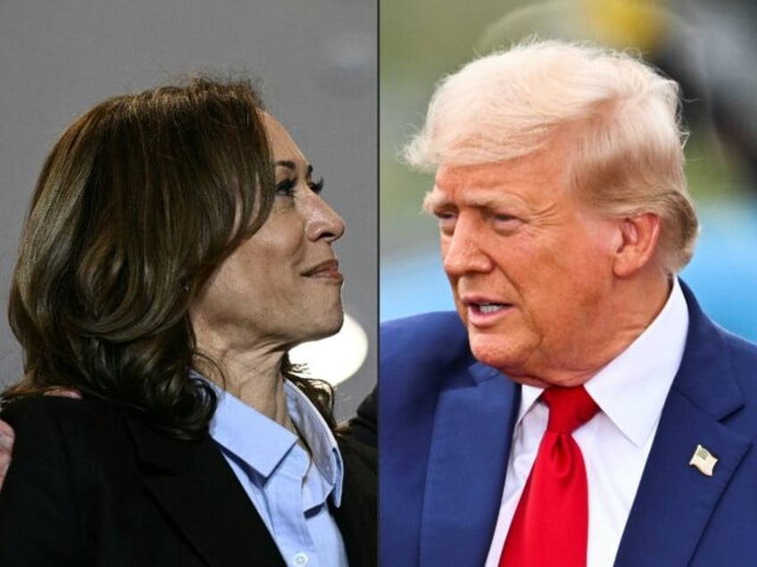 Kamala Harris and Donald Trump will have their first, and possibly only, presidential deba