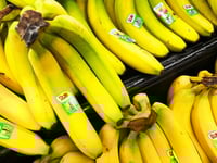 Fruit company staff find cocaine in Norway banana boxes