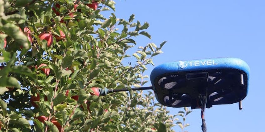 fruit picking robots take flight just when youve seen it all