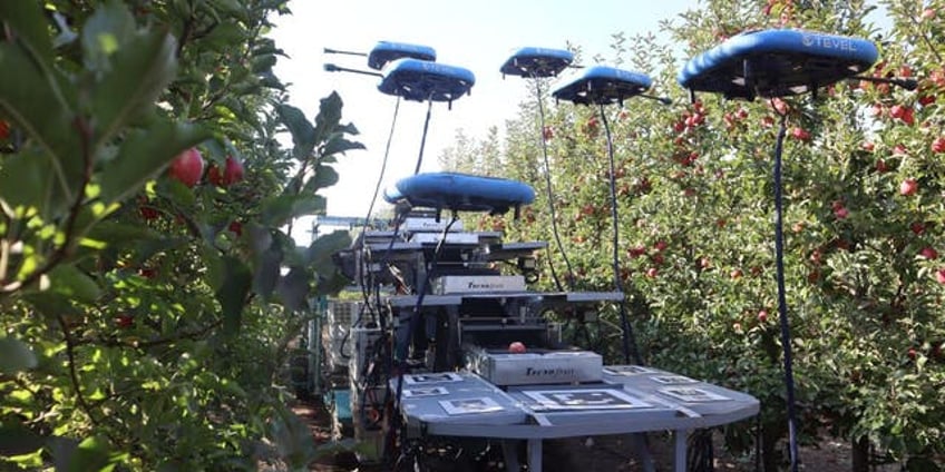 fruit picking robots take flight just when youve seen it all