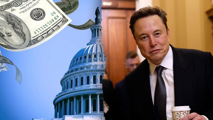 Elon Musk and US Capitol