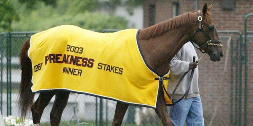 funny cide 2003 kentucky derby and preakness winner dead at 23