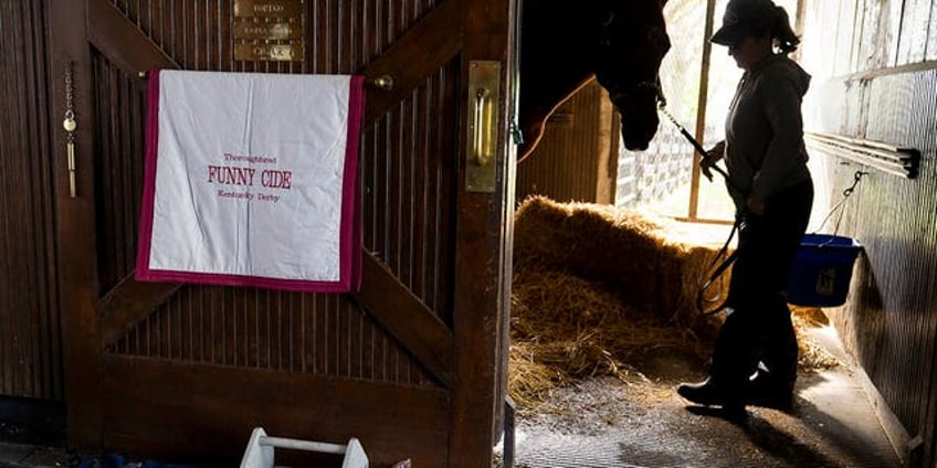 funny cide 2003 kentucky derby and preakness winner dead at 23