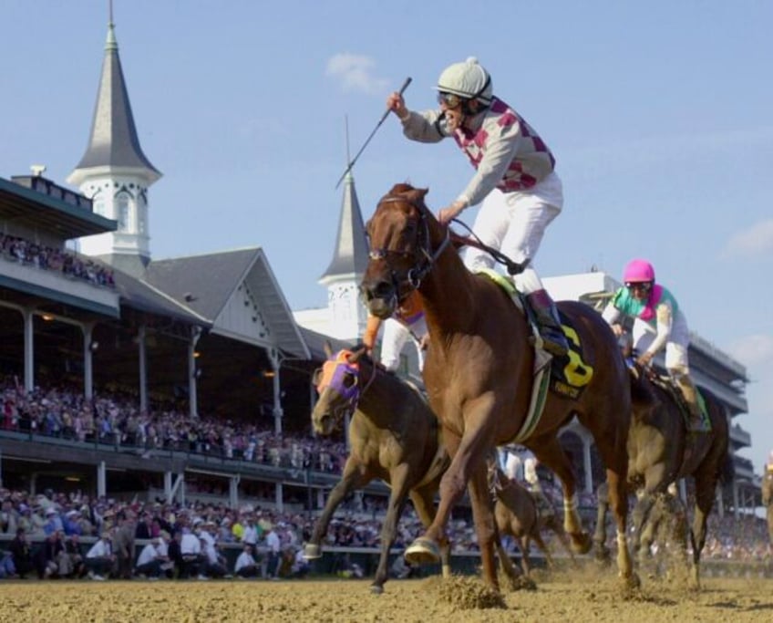 funny cide the 2003 kentucky derby and preakness winner dies at 23