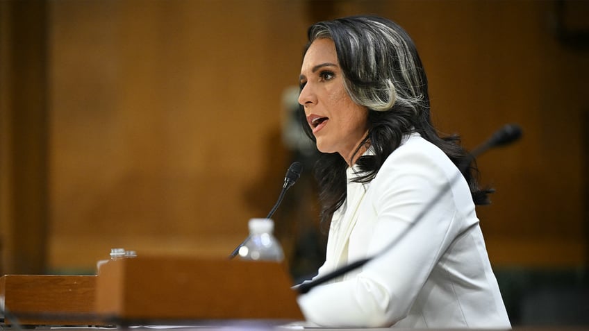 Tulsi Gabbard testifying 