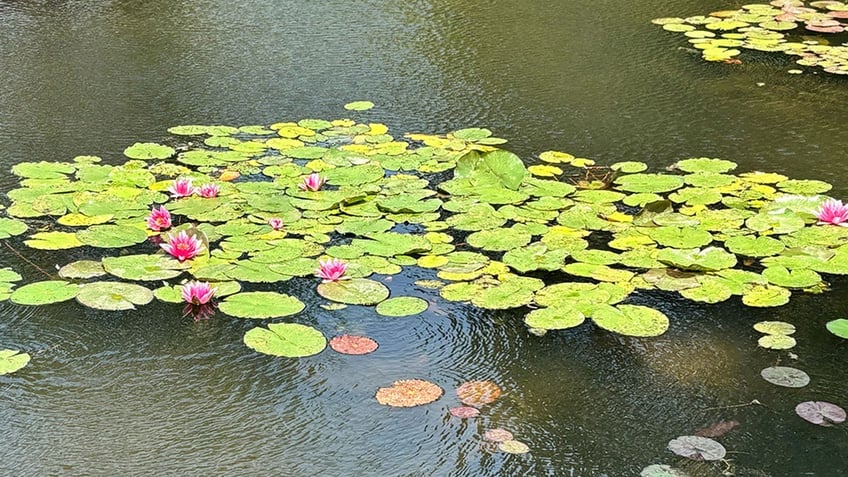 Monet's Gardens at Giverny