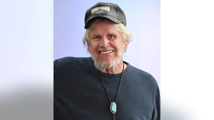 gary busey being investigated for alleged hit and run car accident