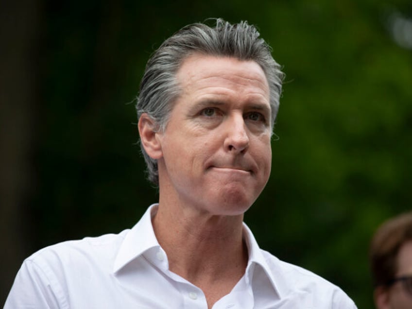 California Gov. Gavin Newsom campaigns for President Joe Biden at the Van Buren County Dem