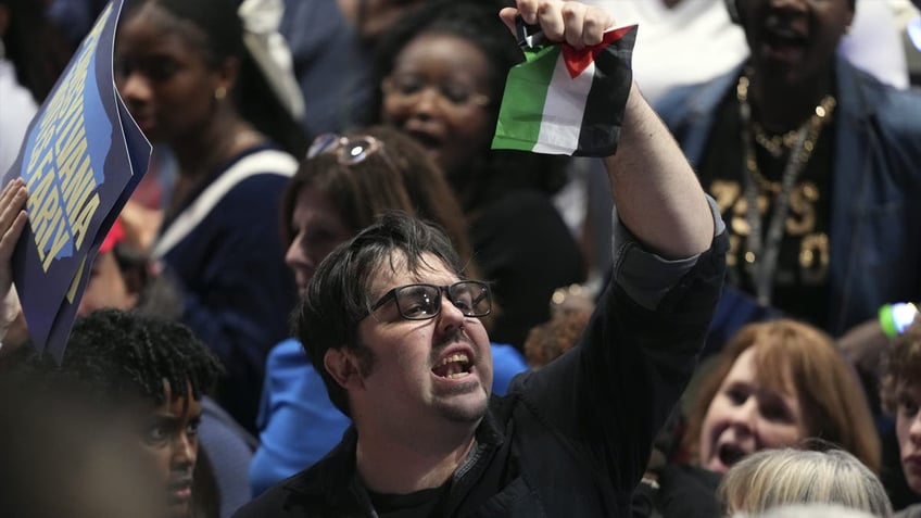 Protester in Harrisburg