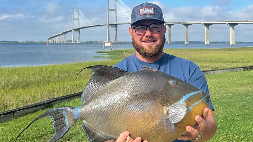 Brian Richburg queen triggerfish record