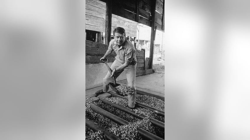 President Jimmy Carter shovels peanuts.