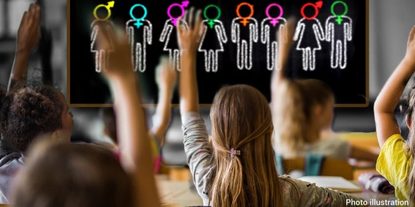 georgia school board rejects calls to fire teacher over exposing elementary students gender fluidity