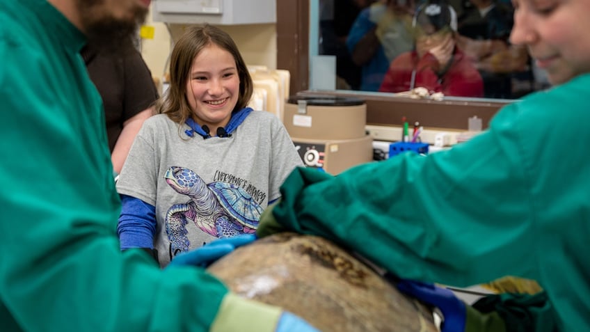 kendall and bandit the turtle