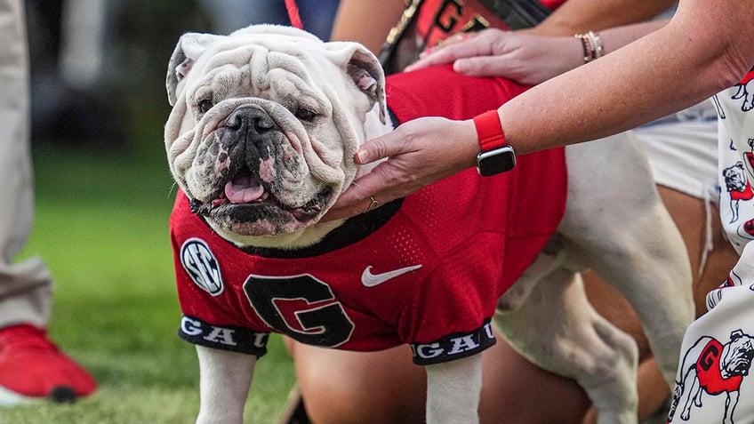 Uga XI at Georgia-Mississippi State game