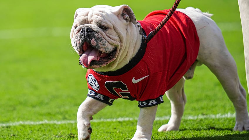 Uga XI walks the field