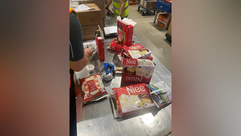 German customs officers recently made a skin-crawling discovery when they found around 1,500 young tarantulas concealed in a shipment of spongecakes.