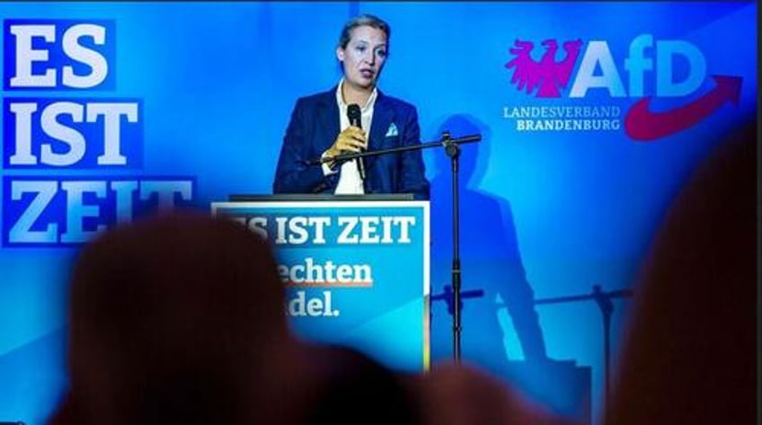 germany needs a border fence demands afd party leader alice weidel