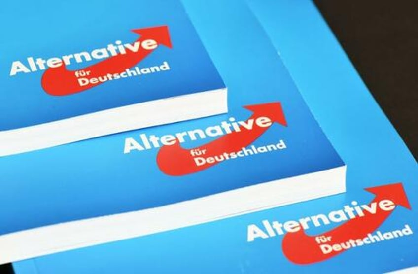 germanys afd party rises in the west hits record 19 in baden wurttemberg