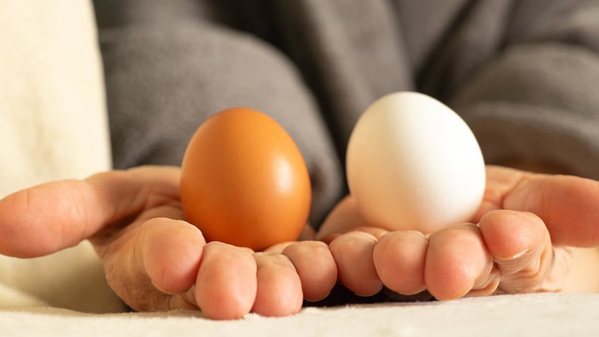 get cracking these are the best eggs for your health according to nutritionists