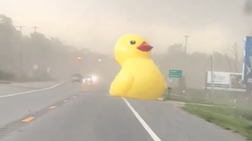 Inflatable duck blows across road in Michigan