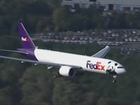 Giant pandas arrive at new home in Washington, D.C. Zoo via FedEx: 'Precious cargo'