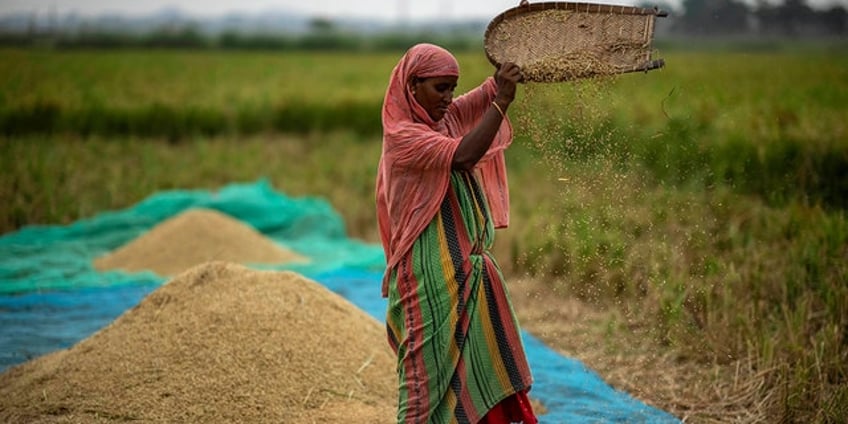 global food prices rise after russia pulls out of wartime grain agreement with ukraine