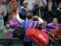 Goffin claims he was spat at by French Open spectator