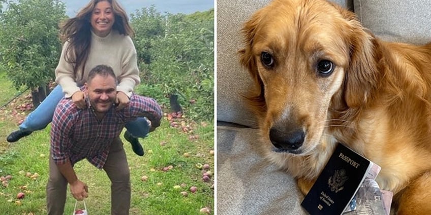 golden retriever eats boston grooms passport days before dream destination wedding in italy