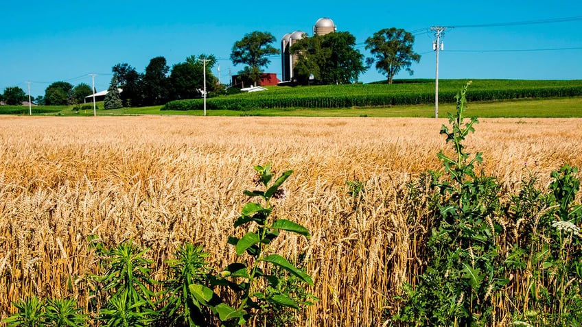 gop dem senators team up with bill to protect us farmland from foreign ownership