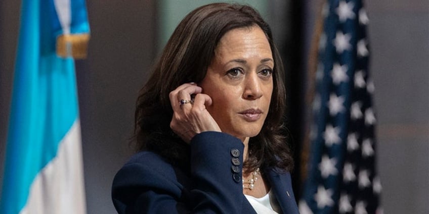 gop hopeful rips prospect of harris presidency if dems win in 24 send a chill up every americans spine