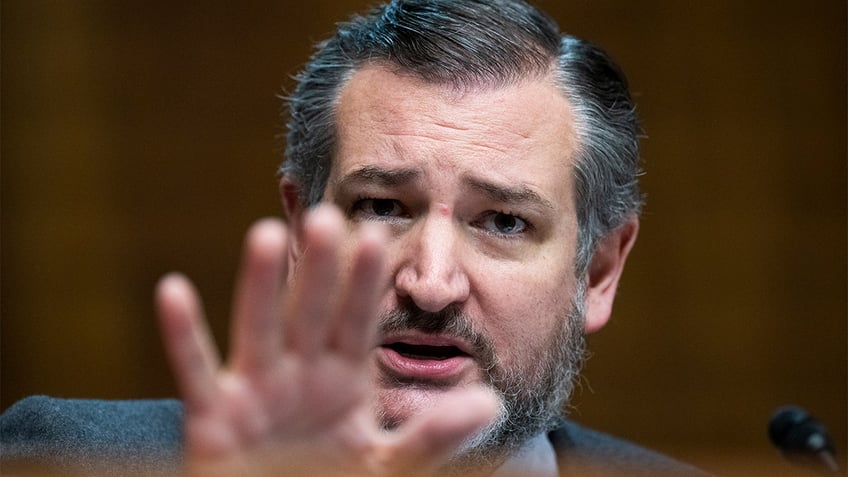 Sen. Ted Cruz, R-Texas, railed against Democrats for skipping a Senate hearing on former President Biden's health decline.