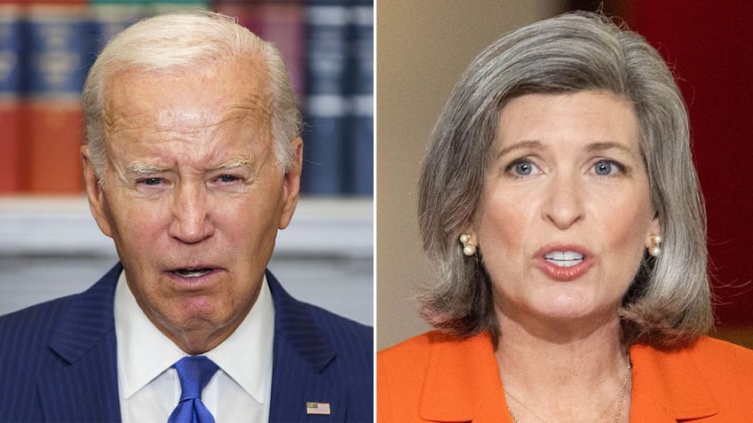 gop senator demands biden admin address influx of gun dealers losing licenses gun grabbing agenda