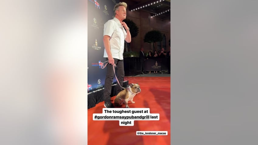 Gordon Ramsay and the bulldog at restaurant opening