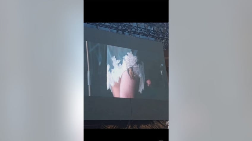 bat on taylor momsens dress on jumbotron