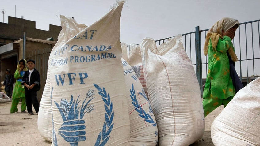 government cuts forcing world food program to reduce rations to most hunger stricken people un warns