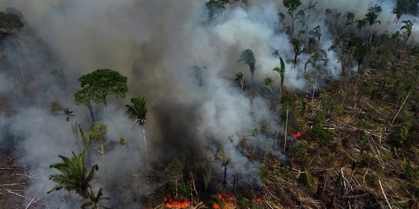 governments gather to discuss strategies to protect amazon rainforest we are accelerating climate change