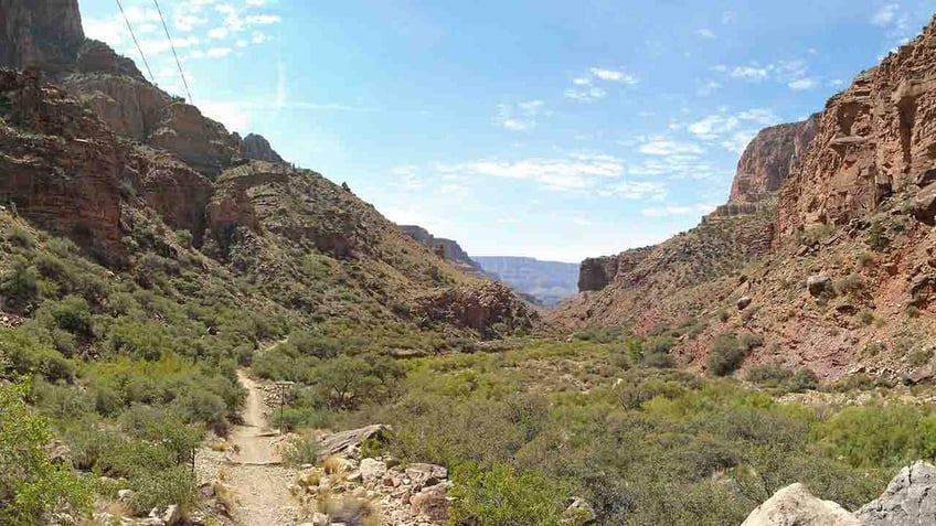 grand canyon hiker dies while attempting rim to rim trek in single day