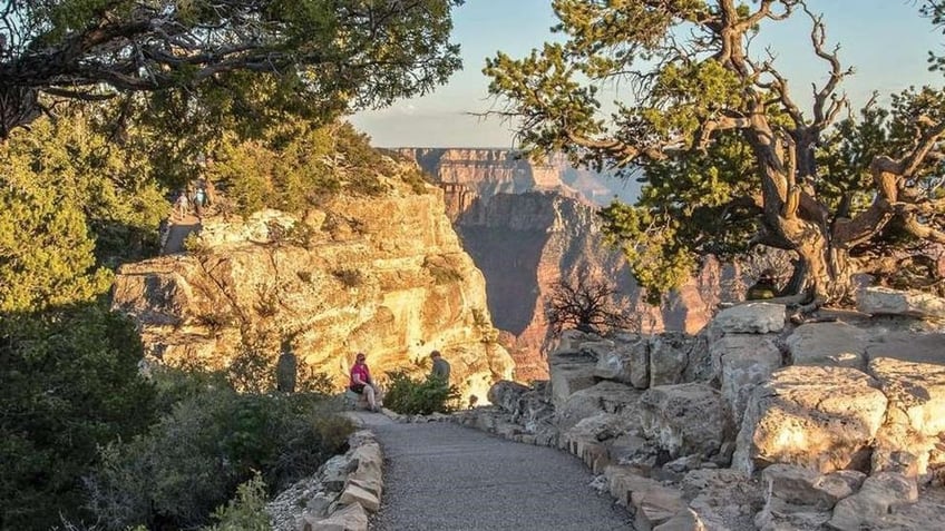 grand canyon hiker dies while attempting rim to rim trek in single day