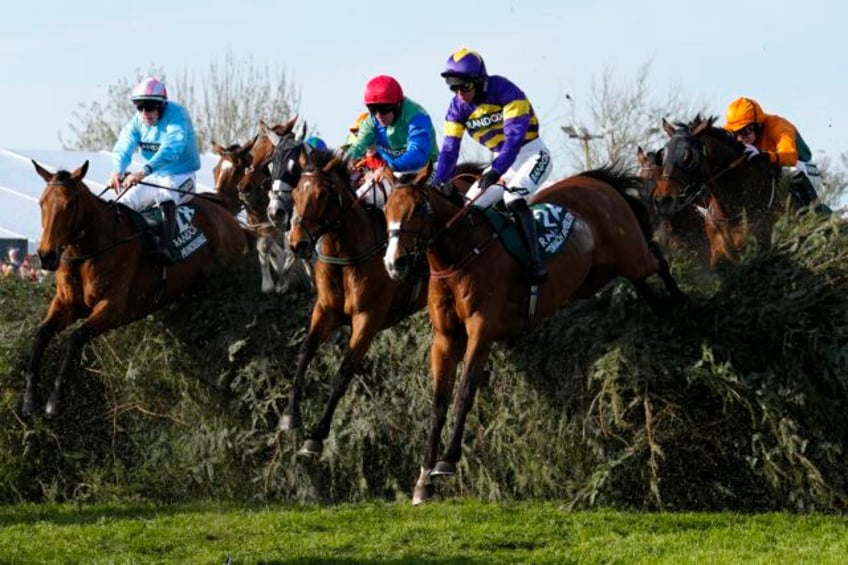 grand national to reduce number of horses to 34 and soften fences in bid to make famous race safer