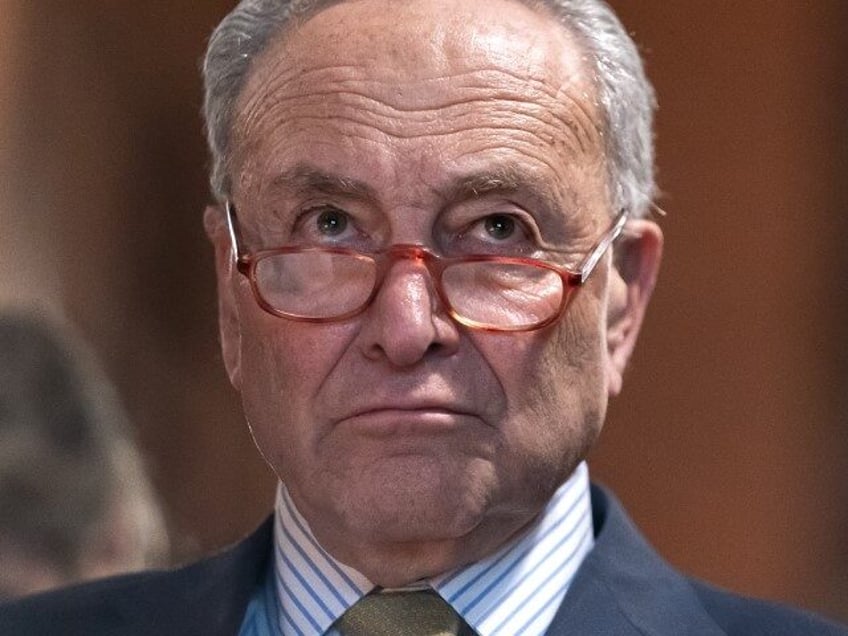 U.S. Senate Majority Leader Chuck Schumer (D-NY) listens as gun violence survivors speak d